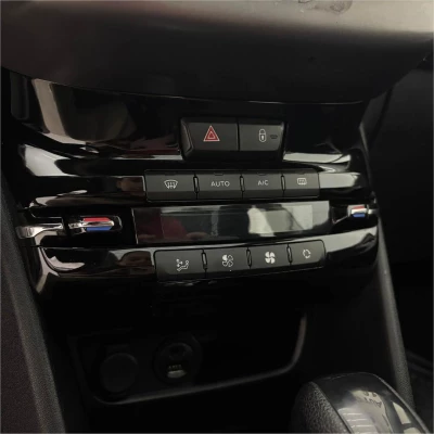 Foto 11: PEUGEOT 208 1.6 GRIFFE 16V FLEX 4P AUTOMATICO 2017